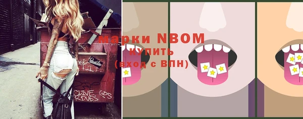 стафф Дмитриев