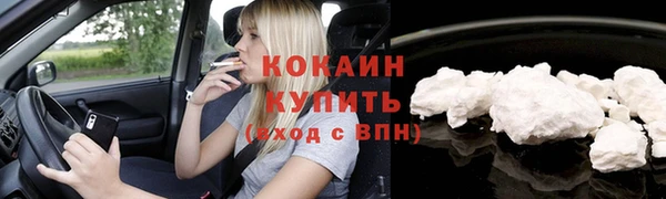 стафф Дмитриев