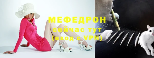 стафф Дмитриев