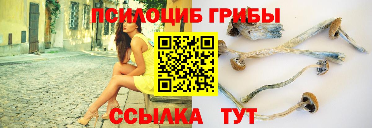 Галлюциногенные грибы Cubensis  Вход с VPN  Псков 