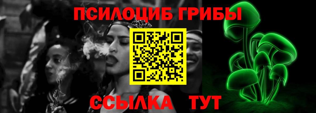 Псилоцибиновые грибы Psilocybine cubensis Псков